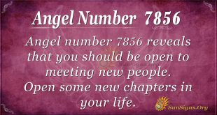 Angel number 7856