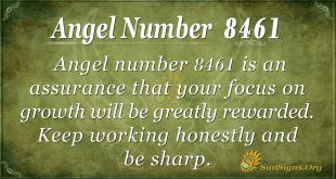 Angel number 8461