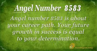 Angel number 8583