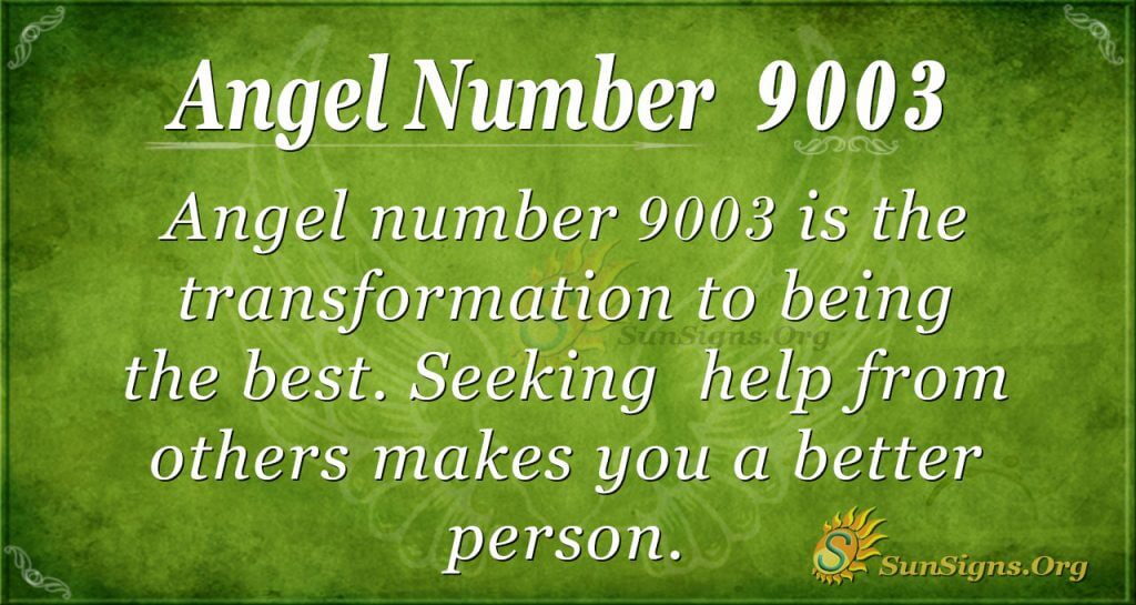 Angel number 9003
