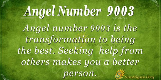 Angel number 9003