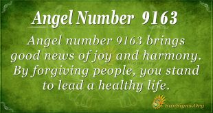 Angel number 9163