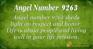 angel number 9263