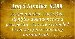 angel number 9389