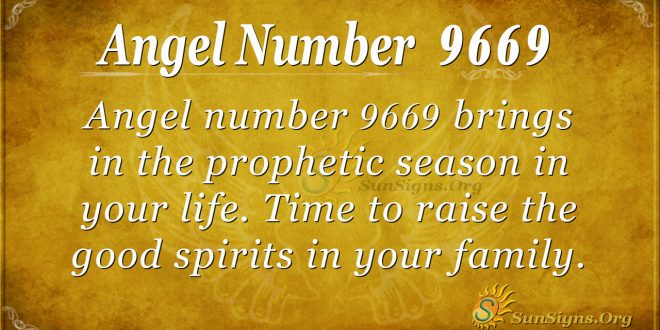 Angel number 9669