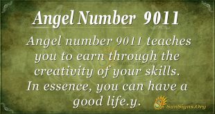 Angel Number 9011