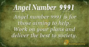 Angel Number 9991
