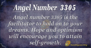 Angel number 3305