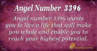 Angel number 3396
