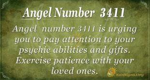 Angel number 3411