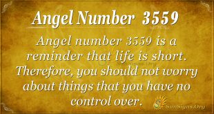 Angel number 3559
