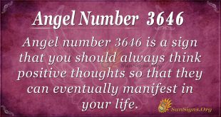 Angel number 3646