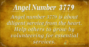 Angel number 3779