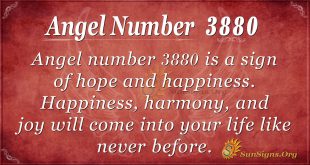angel number 3880