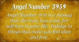 angel number 3959