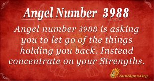 Angel number 3988