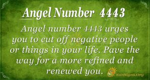 Angel number 4443