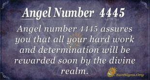 Angel number 4445