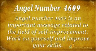 angel number 4609