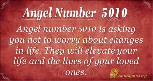 angel number 5010