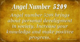 Angel number 5209