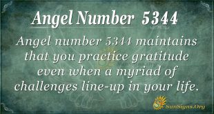 angel number 5344