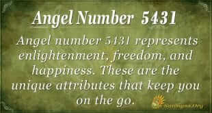 Angel number 5431