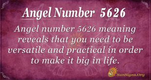 angel number 5626