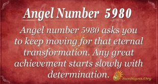 angel number 5980