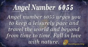 Angel number 6055