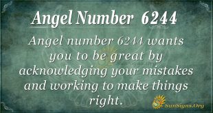 angel number 6244