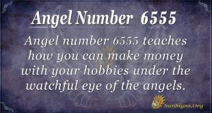 angel number 6555