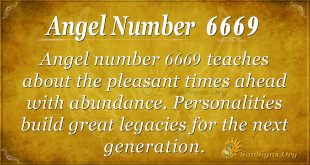 angel number 6669