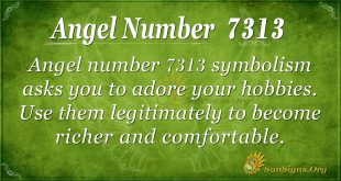 angel number 7313