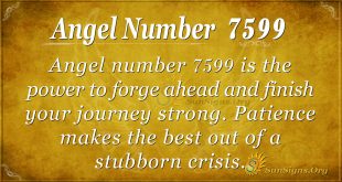 angel number 7599