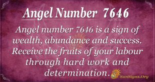 Angel number 7646