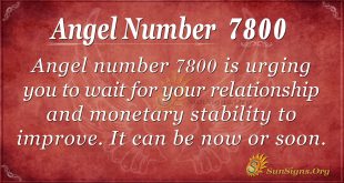 angel number 7800