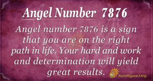 Angel number 7876
