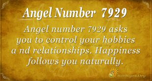 angel number 7929