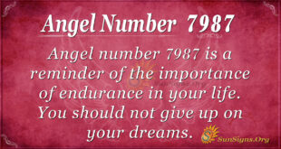Angel number 7987