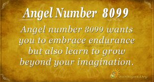 angel number 8099