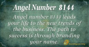 Angel number 8144