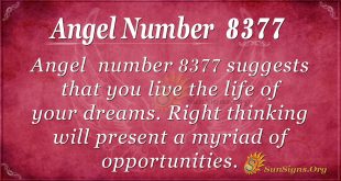 Angel number 8377