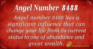 angel number 8488