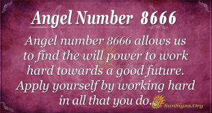 angel number 8666