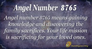Angel number 8765