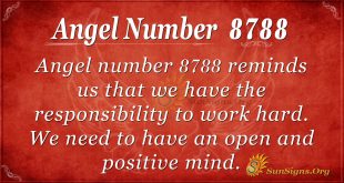 angel number 8788