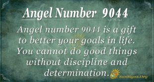 angel number 9044