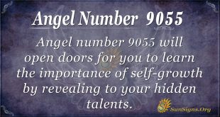 angel number 9055