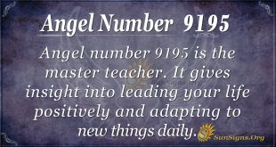 angel number 9195